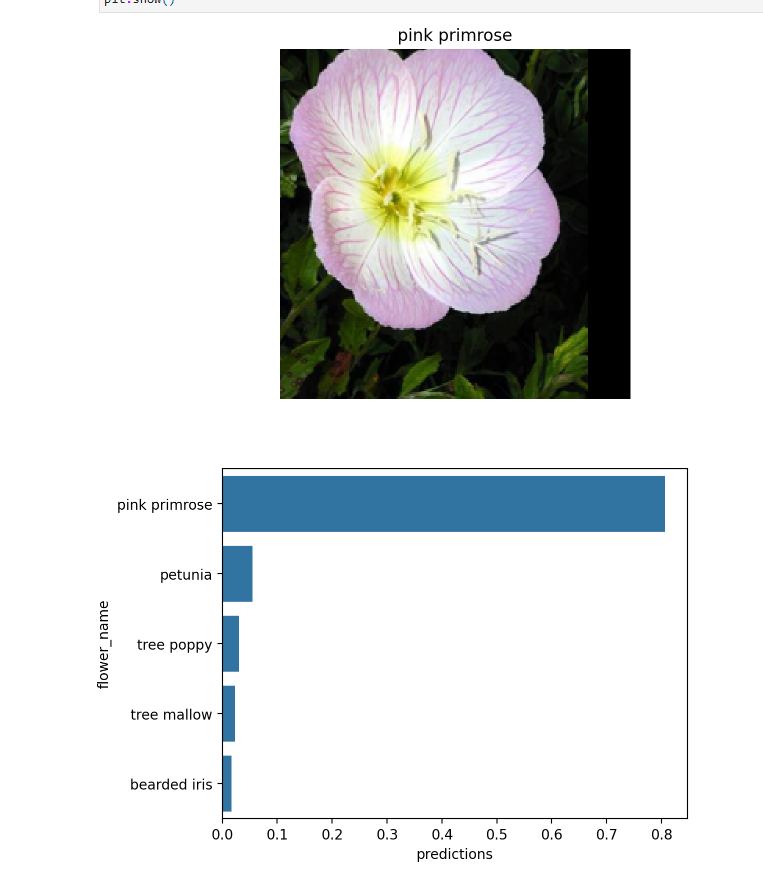 Flower Image Classifier